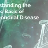 Understanding-the-Genetic-Basis-of-Mitochondrial-Disease-min