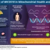 A genetic key to Underpinnings of Mitochondrial DNA Depletion Syndrome